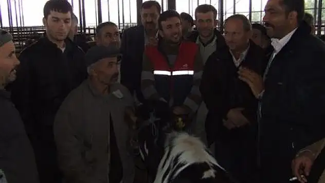 Kurbanlıklar Yerinde Sayıyor