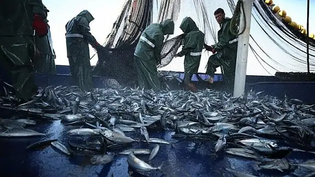 Akdeniz ve Karadeniz'de avlanma düşüşü