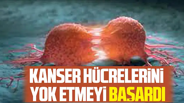 Kanser Hücrelerini Yok Etmeyi Başardı