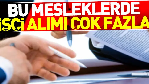 Bu mesleklerde işçi alımı çok fazla