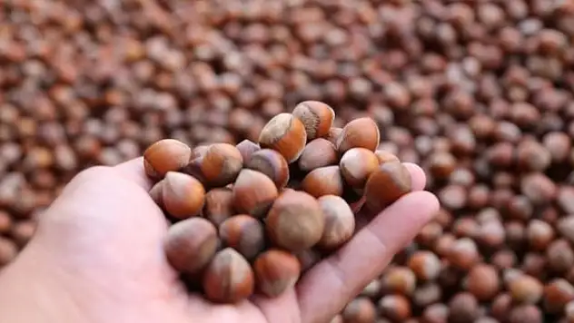 479,9 milyon dolarlık gelir elde edildi