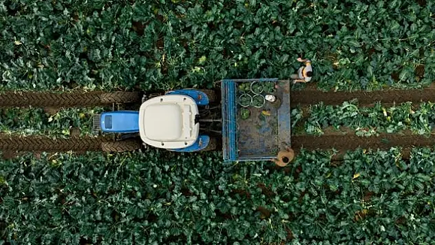 Destek ödemesi başladı