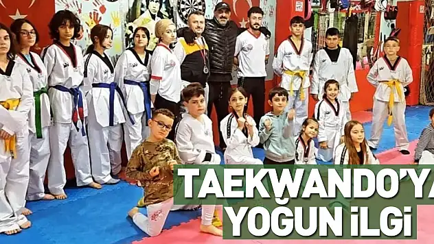 Taekwando'ya Yoğun İlgi