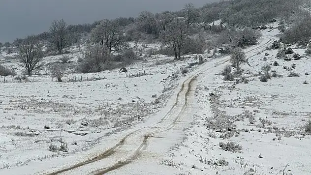 Tekirdağ'ın yüksek kesimleri karla kaplandı