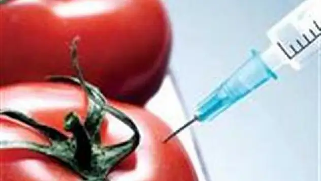 ABD'den Türkiye'ye GDO şantajı