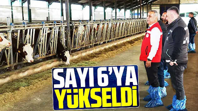 Sayı 6'ya yükseldi
