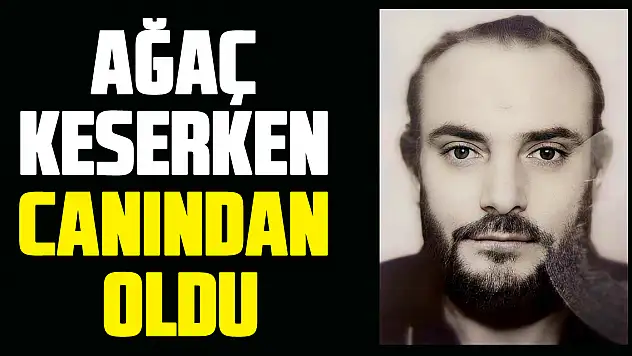 Ağaç Keserken Canından Oldu