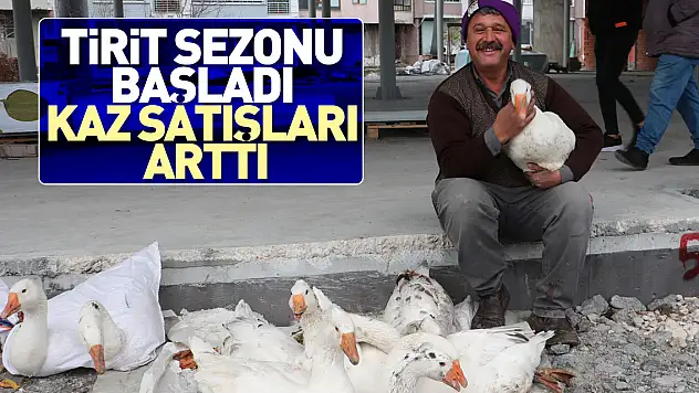 Tirit sezonu başladı kaz satışları arttı