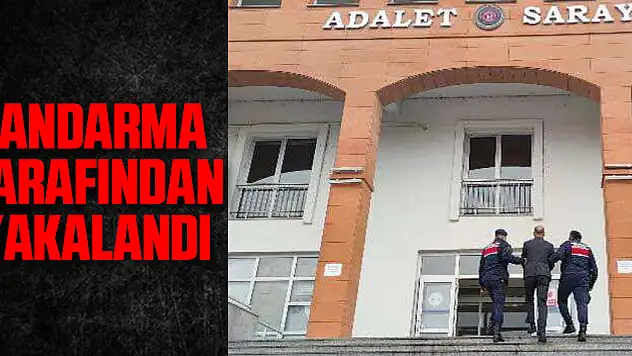 Jandarma Tarafından Yakalandı