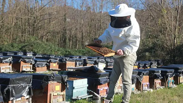 Arı Sezonuna Hazırlıklar Yapılıyor