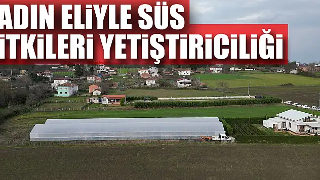 Kadın Eliyle Süs Bitkileri Yetiştiriciliği