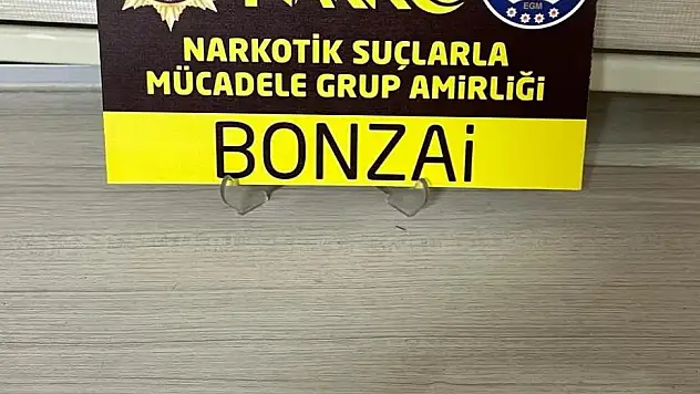 2 şüpheli gözaltına alındı