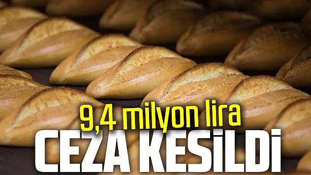 9,4 milyon lira ceza kesildi