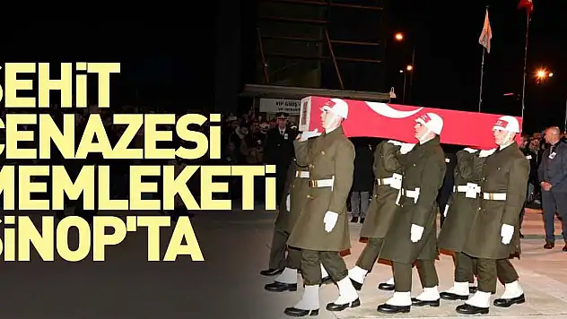 Şehit cenazesi memleketi Sinop'ta