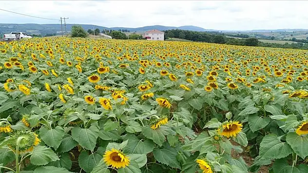 120 bin dekar arazi tarıma kazandırıldı