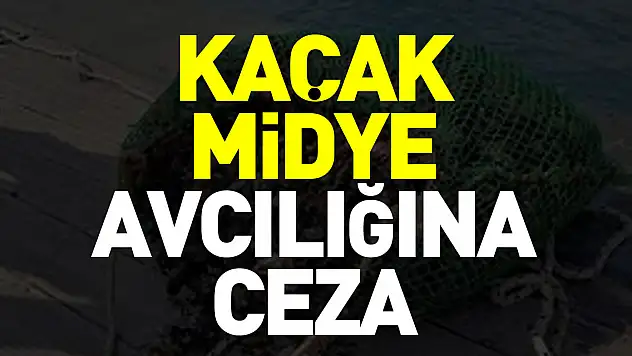 Midye avcılığına ceza