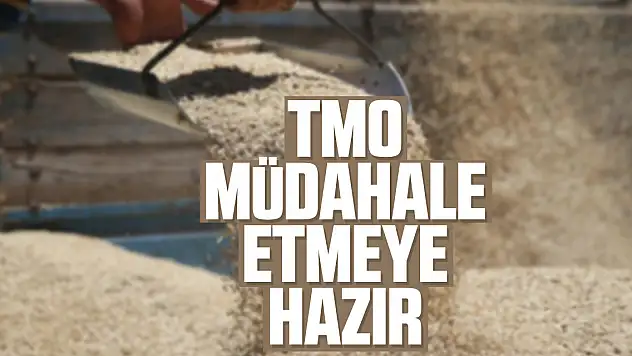 TMO, müdahale etmeye hazır