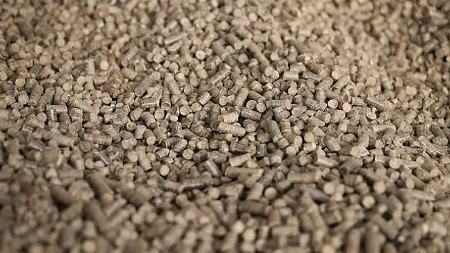 Peletle İhracata Başladı