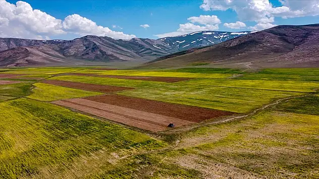 Bitkisel ürünlerde üretim yüzde 10,3 arttı