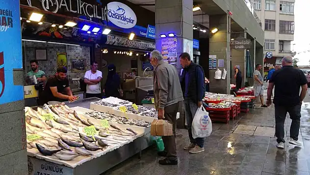 Hamsi Fiyatında Düşüş