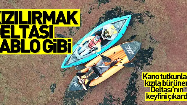 Kızılırmak Deltası tablo gibi