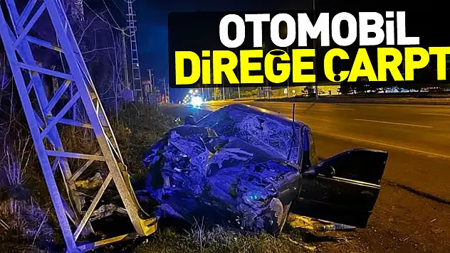 Otomobil direğe çarptı