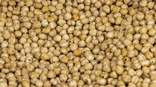 59 ülkeye fındık ihraç edildi