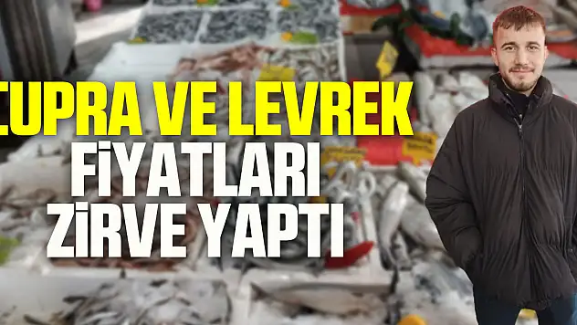 Çupra ve levrek fiyatları zirve yaptı