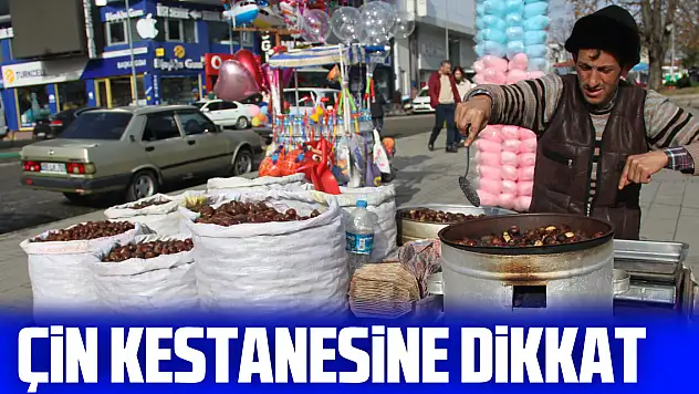 ÇİN KESTANESİNE DİKKAT