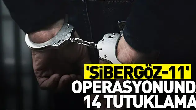 'Sibergöz-11' operasyonunda 14 tutuklama