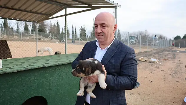 Hayvanlar güvenli bir barınağa kavuştu