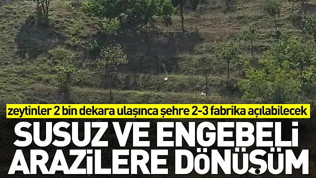 Susuz ve engebeli arazilere dönüşüm