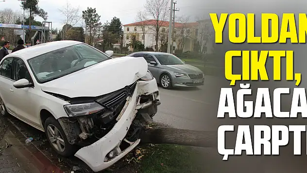 YOLDAN ÇIKTI, AĞACA ÇARPTI