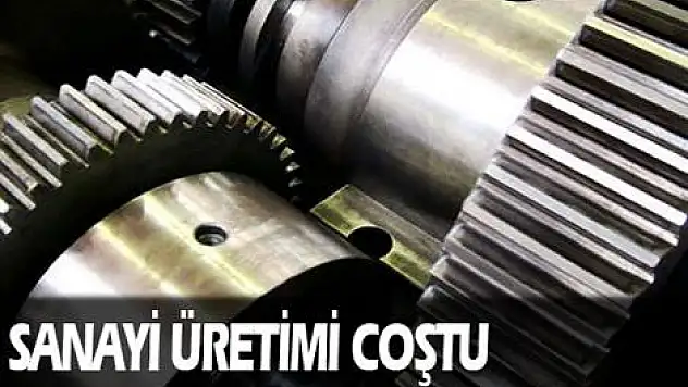 Sanayi üretimi coştu