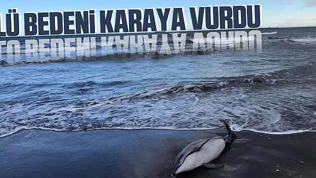 Ölü Bedeni Karaya Vurdu