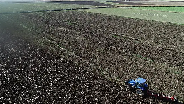 Domatesinin üreticisi yeni yıldan umutlu