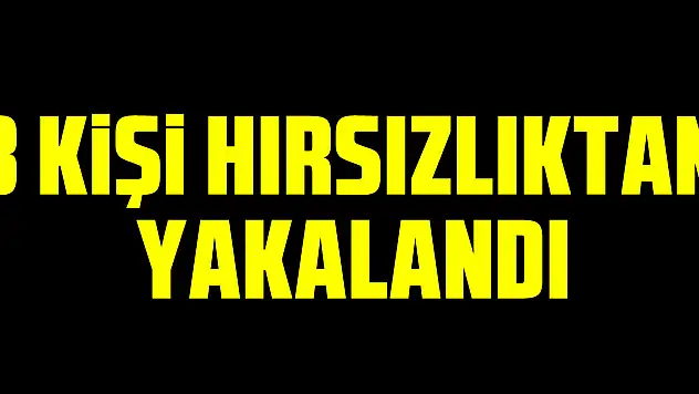 3 Kişi Hırsızlıktan Yakalandı