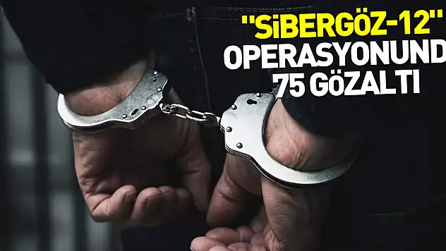 'Sibergöz-12' operasyonlarında 75 gözaltı