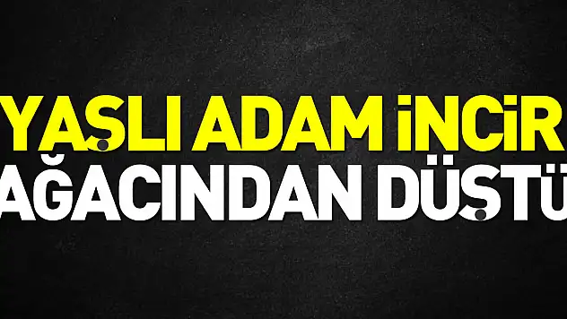 Yaşlı adam İncir ağacından düştü