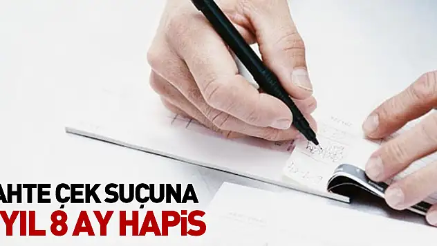 Sahte çek suçuna 6 yıl 8 ay hapis