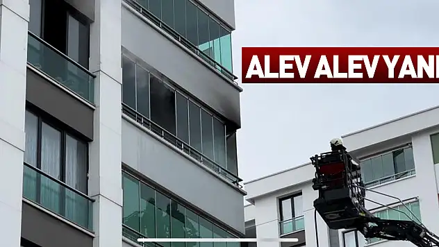 Alev alev yandı