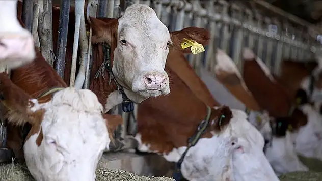 USK, çiğ süt fiyatı belirledi!