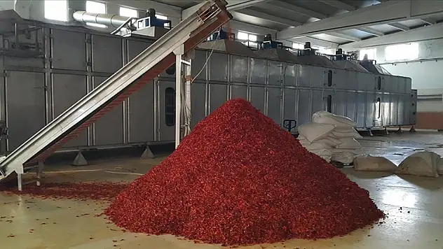 25 ülkeye pul biber ihraç edildi