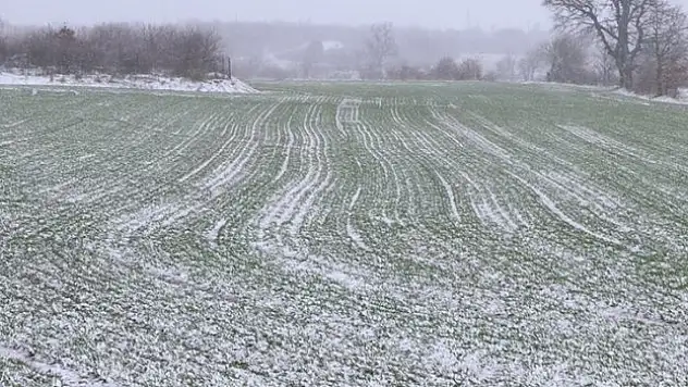Edirne'de kar buğday üreticilerini sevindirdi