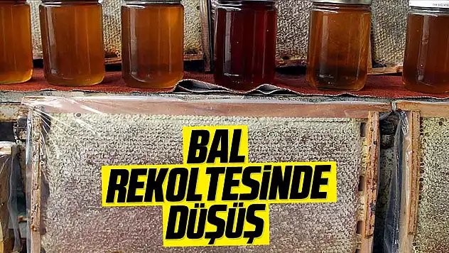 BAL REKOLTESİNDE DÜŞÜŞ