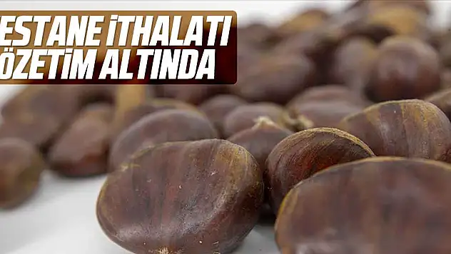 Kestane ithalatı gözetim altında