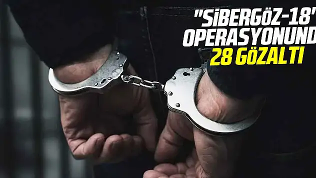 'Sibergöz-18' operasyonunda 28 gözaltı