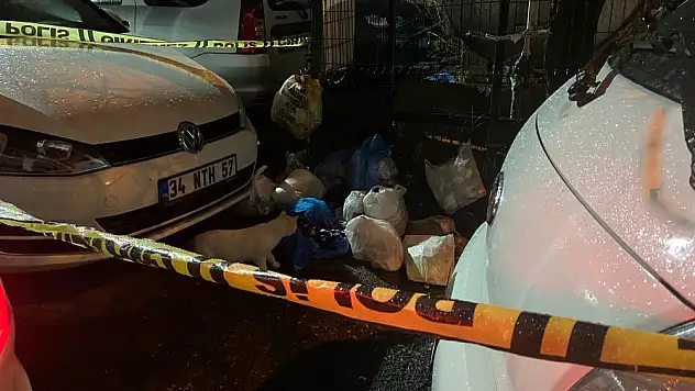 Yeni doğmuş bebek çöpe attılar