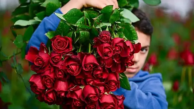'Sevgililer Günü' yoğunluğu başladı