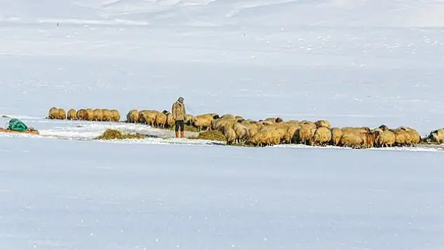 Kar yağışı üzerken güldürüyor